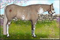 Horse Color:Silver Grullo Sabino Rabicano