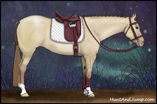 Horse Color:Grullo Pearl Rabicano 
