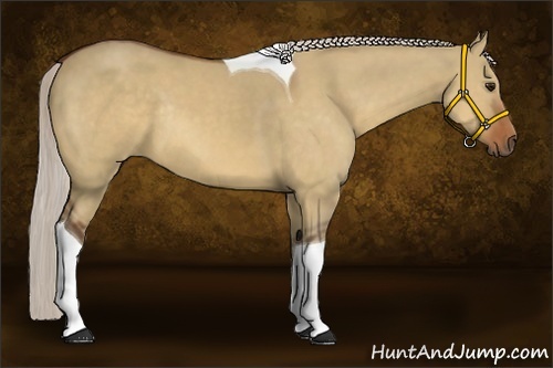 Horse Color:Silver Bay Dun Tobiano Rabicano 