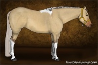 Horse Color:Silver Bay Dun Tobiano Rabicano