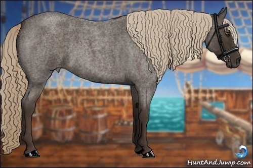 Horse Color:Liver Red Roan 