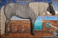Horse Color:Liver Red Roan 