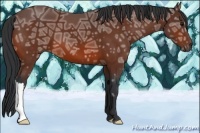 Horse Color:Bay Ice 