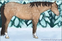 Horse Color:Amber Champagne Ice Rabicano
