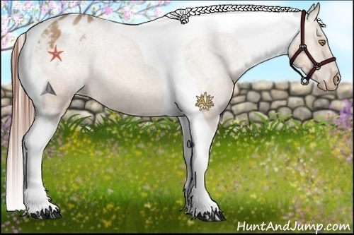 Horse Color:Amber Champagne Tobiano Appaloosa 