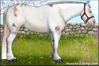 Horse Color:Amber Champagne Tobiano Varnish 