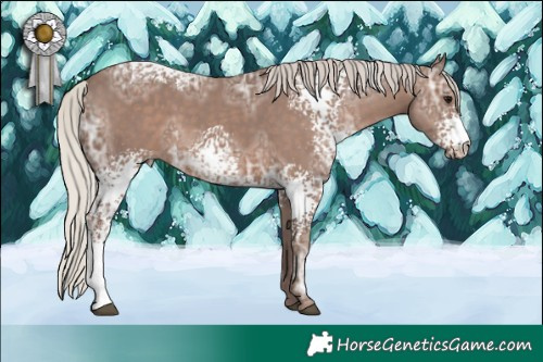 Horse Color:White Spotted Silver Black Ice 