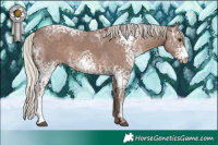 Horse Color:White Spotted Silver Black Ice
