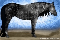 Horse Color:ERROR: UNKNOWN ANOMALY and ERROR: UNKNOWN ANOMALY