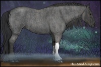 Horse Color:Blue Roan Brindle