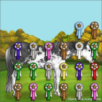 Horse Color:Black Sabino Splash 