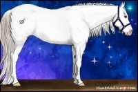 Horse Color:Chocolate Palomino Splash Appaloosa