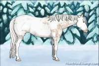 Horse Color:Silver Black Ice Pearl Sabino