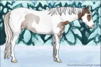 Horse Color:Silver Black Sabino Splash Tobiano Frame