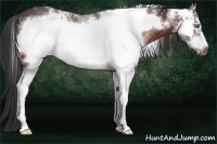 Horse Color:White Spotted Bay Ice Frame 