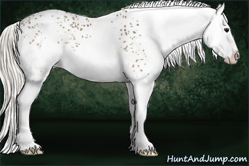 Horse Color:White Spotted Silver Buckskin Splash 