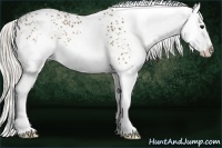 Horse Color:White Spotted Silver Buckskin Splash 