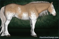 Horse Color:White Spotted Silver Bay Dun Splash