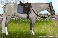 Horse Color:Silver Blue Roan 