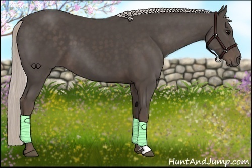 Horse Color:Silver Black