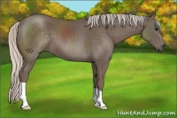 Horse Color:Silver Black 