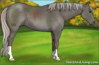 Horse Color:Silver Black 