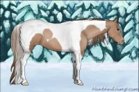 Horse Color:Black Pearl Tobiano