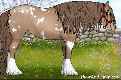 Horse Color:White Spotted Black Pearl 