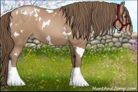 Horse Color:White Spotted Black Pearl 