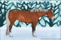 Horse Color:Silver Bay Sabino Rabicano 