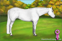 Horse Color:Gray Black 