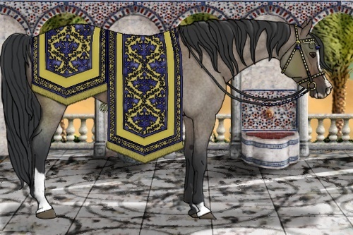 Horse Color:Brown Roan Dun Sabino 