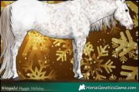 Horse Color:White Spotted Black Pearl Appaloosa 