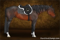 Horse Color:Brown 
