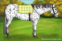 Horse Color:Blue Roan Splash Near Leopard 