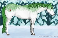 Horse Color:Watercolor White Spotted Black