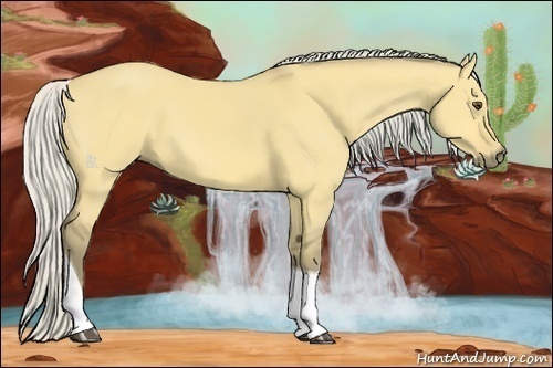 Horse Color:Silver Buckskin Dun Tobiano 