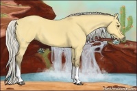 Horse Color:Silver Buckskin Dun Tobiano