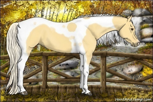 Horse Color:Palomino Dun Tobiano