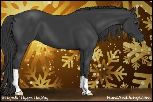 Horse Color:Smoky Black 