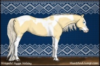 Horse Color:Palomino Dun Splash Tobiano 