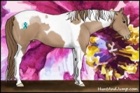 Horse Color:Black Pearl Tobiano 