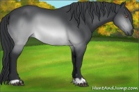 Horse Color:Brown Chinchilla