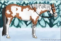 Horse Color:White Spotted Bay Frame