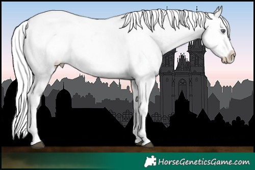 Horse Color:Liver Chestnut Chinchilla Pearl Snowflake Varnish 