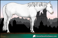 Horse Color:Liver Chestnut Chinchilla Pearl Snowflake Varnish 