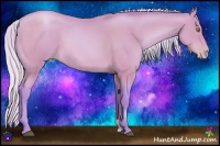 Horse Color:Watercolor Silver Bay Pearl 