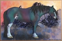 Horse Color:Smoky Black Sabino