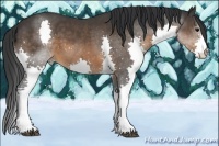 Horse Color:Brown Splash