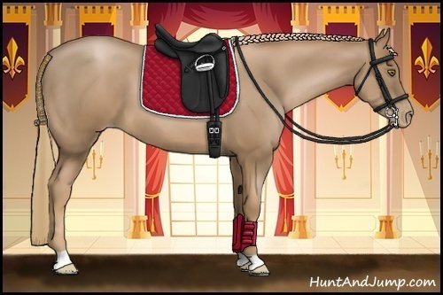 Horse Color:Liver Chestnut Pearl 